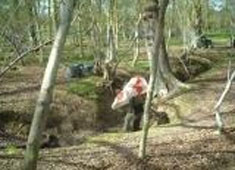 Paintball Matrix